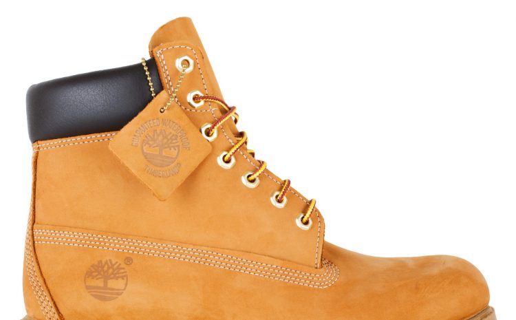 our charlotte ad agency loves timberland