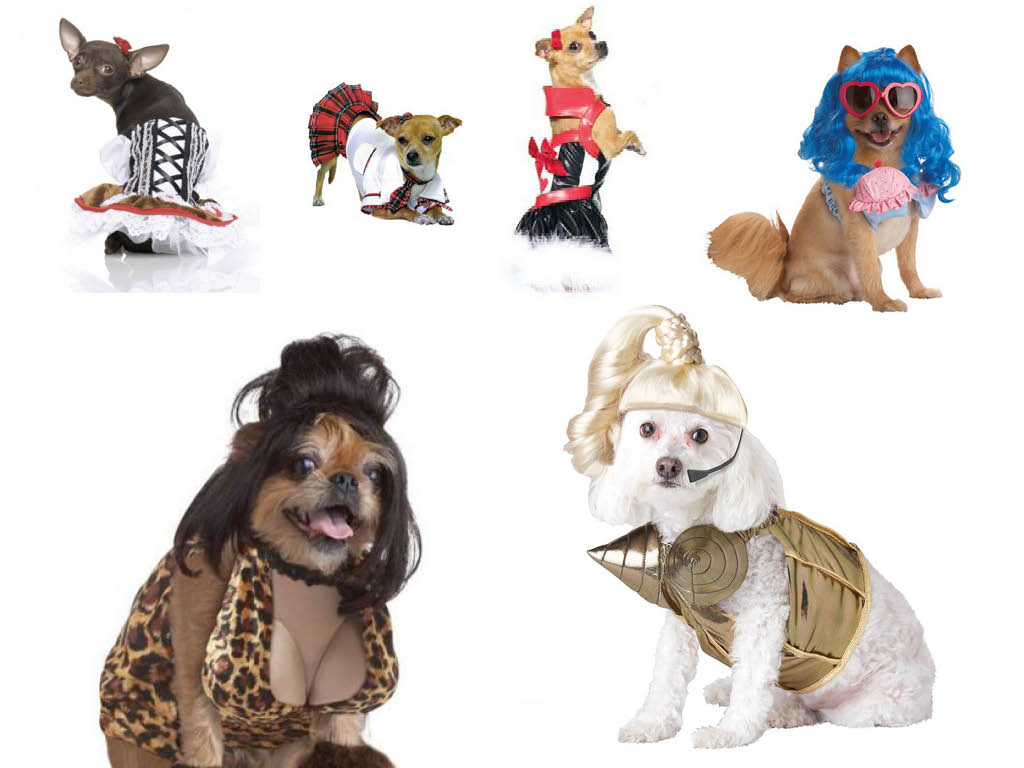 our charlotte marketing agency's favorite Halloween dog costumes